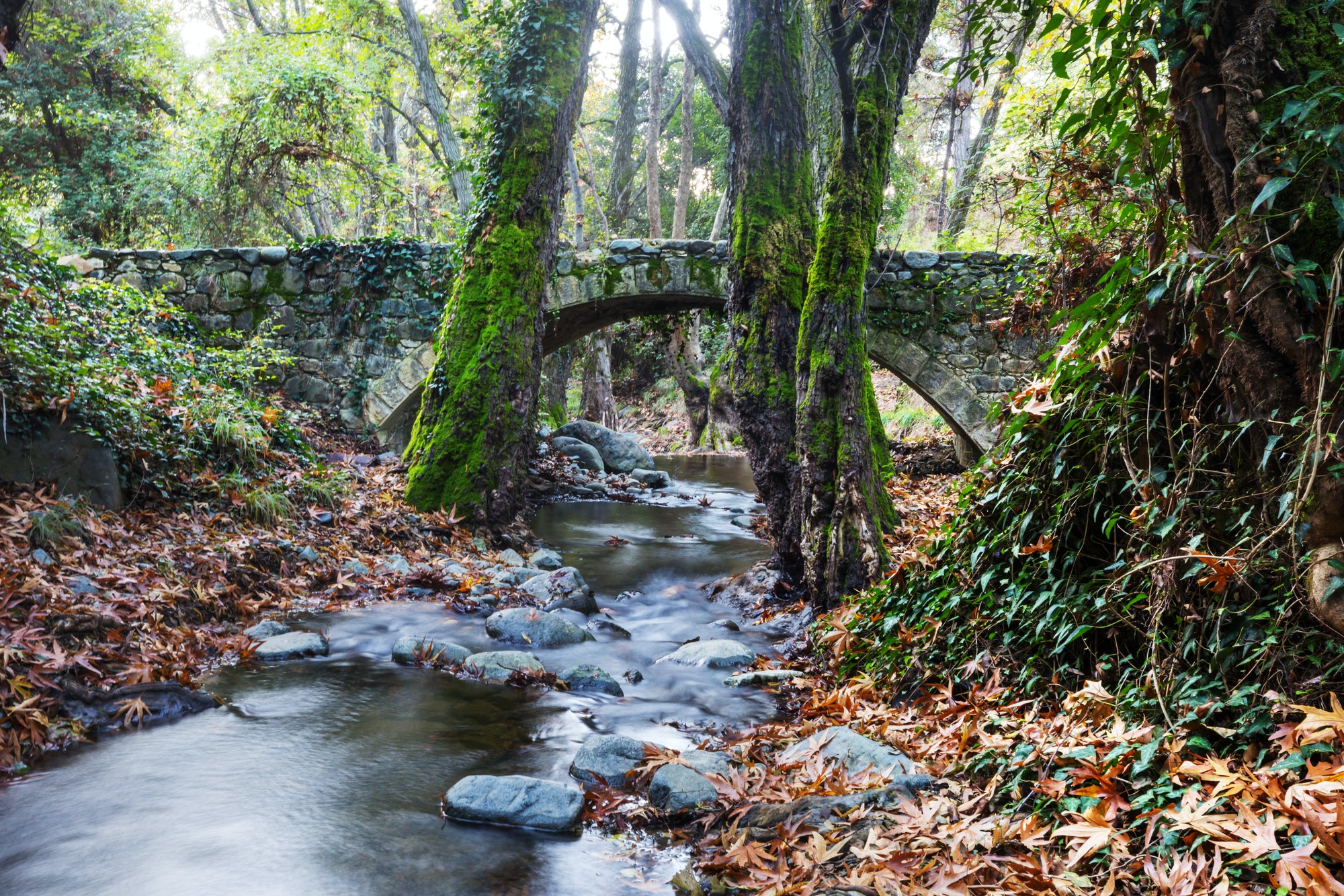 Bridge in Cyprus